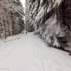 winterwald-harz-schierke-01