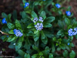 _mg_3590