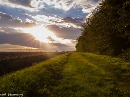 landschaft-4846