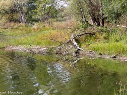 natur-landschaft-2015-4518