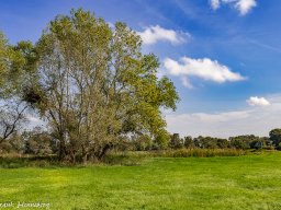 natur-landschaft-2015-4596