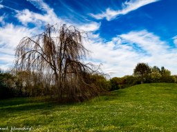 natur-landschaft-2016-4110