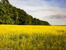 natur-landschaft-2016-4794