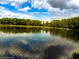 natur-landschaft-2016-7831