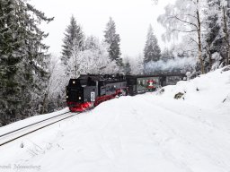Natur Harzbahn